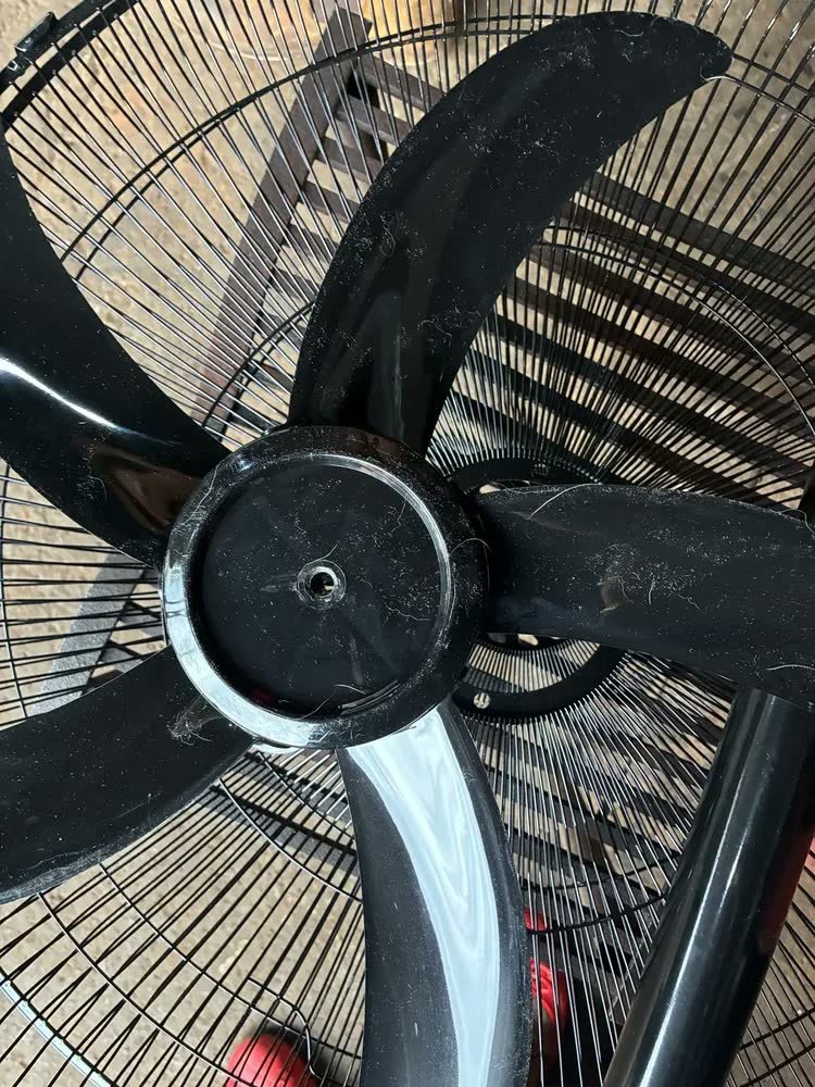 foto de comprador de Ventilador De Coluna Wap Rajada Pro 60 5 Pás Bivolt Preto 55cm