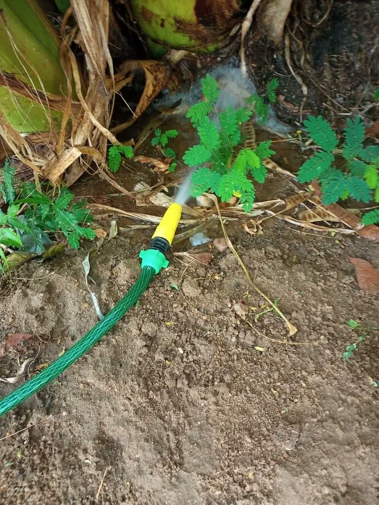 foto de comprador de Mangueira De Jardim 50m Metros Com Esguicho Trançada Reforçada Flexível 7/16 Anti Dobra Irrigação Quintal Poço Lavagem Durável Marqs Home