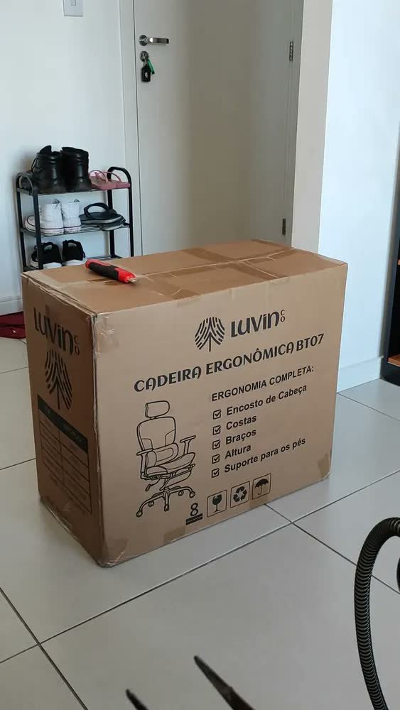 foto de comprador de Cadeira De Escritório Ergonômica Mônaco Bt07 Luvinco Malha Respirável Com Suporte Lombar Adaptável Apoio Para Pés Retrátil Encosto Ajustável Seis Posições Cor Preta Suporta 200kg