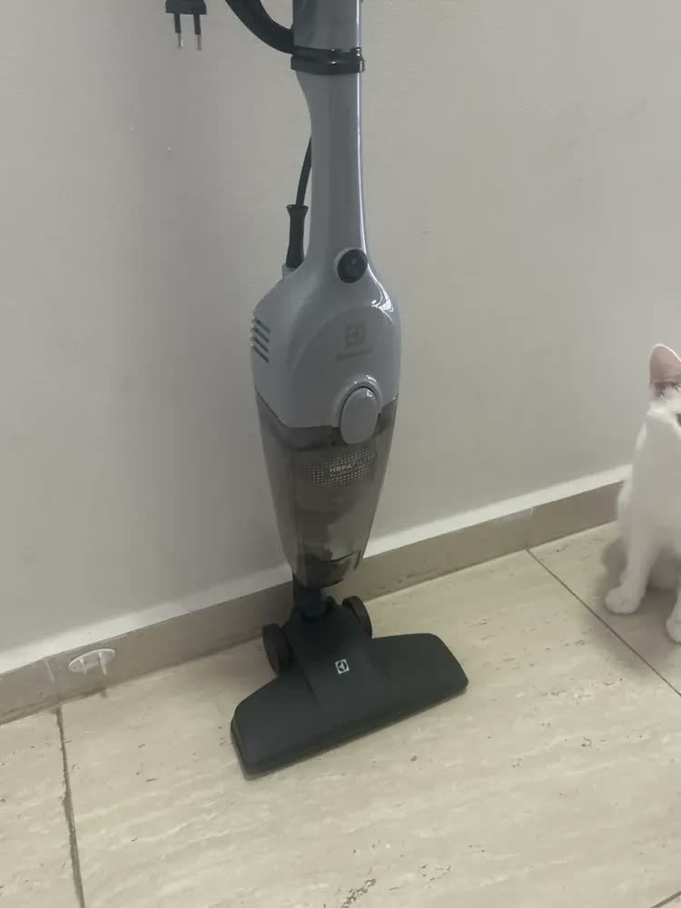 foto de comprador de Aspirador De Pó Vertical Com Fio Portátil De Mão 2 Em 1 1500w De Potência Com Cabo Elétrico De 6 Metros Com Filtro Hepa Electrolux STK16 Cinza