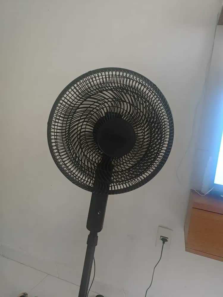 foto de comprador de Ventilador Arno Coluna Essential 40cm 6 Pás