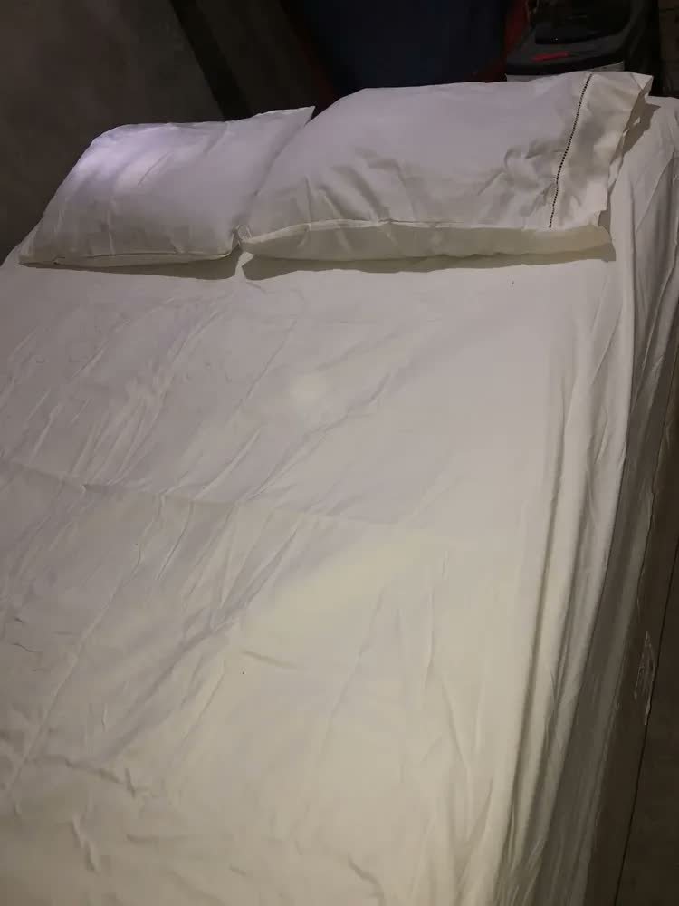foto de comprador de Jogo de Lençol Queen 3 Peças 400 Fios com Elástico Hotel Preto Liso